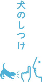 犬を迎えたら